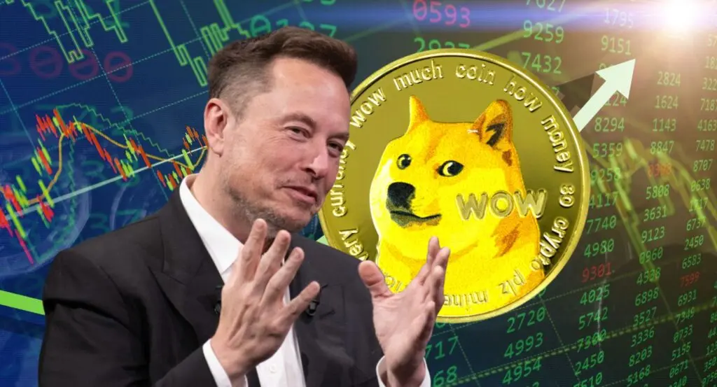 Elon Musk Clarifies Dogecoin's Role in Government