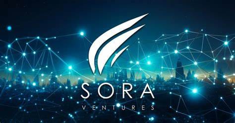 TopWin Ventures into Digital Assets with Sora